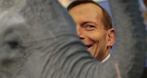Abbott Denies Presence of Climate Change Elephant